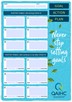 Goal Action Plan