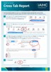 How to guide for Cross Tab Reports (CAT4)